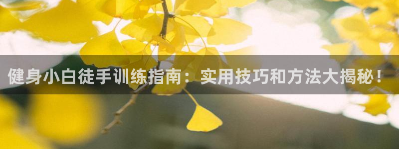 意昂2代理