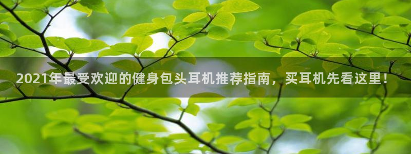 意昂2官网