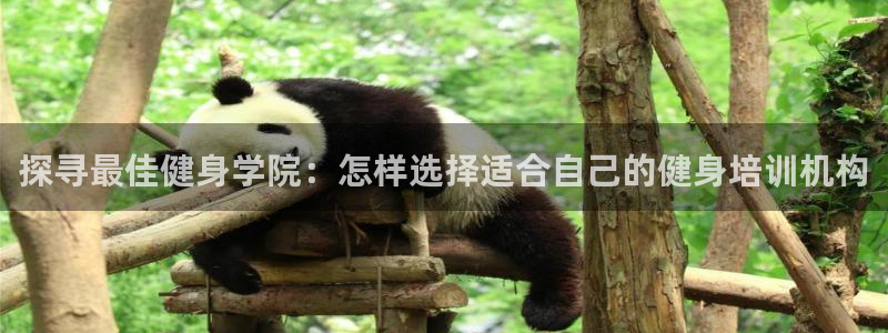 意昂2官网