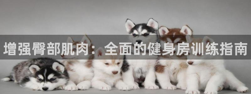 意昂2官网