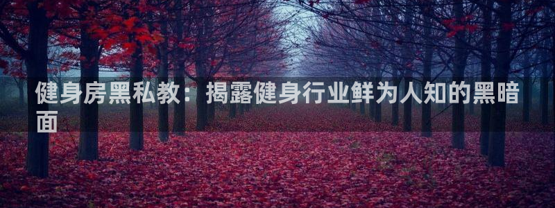 意昂2娱乐