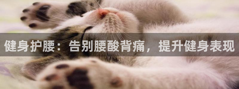 意昂2招商