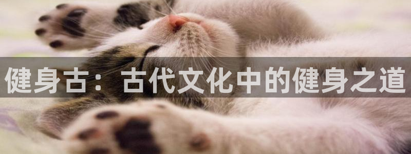 意昂2平台
