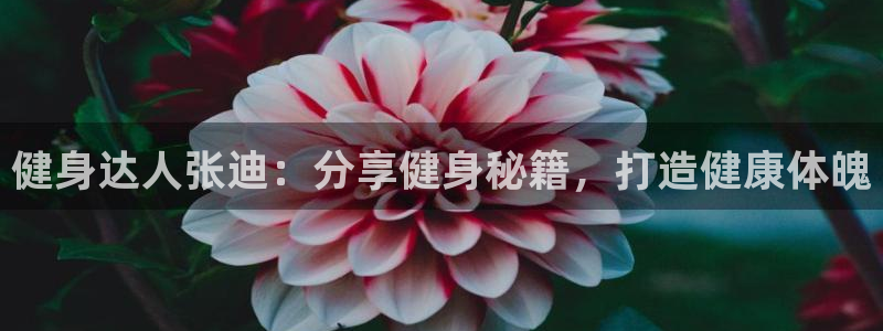 意昂2招商