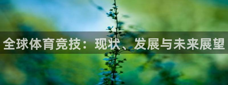 bbin视讯游戏官网