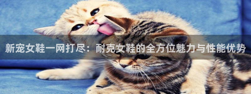 bbin视讯游戏平台