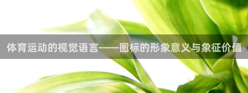 bbin视讯游戏平台