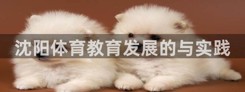 bbin视讯游戏官网