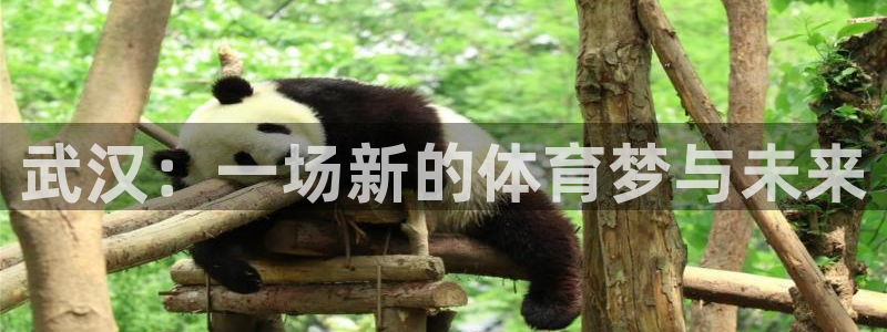 bbin视讯