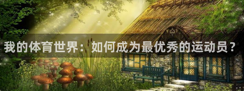 bbin视讯下