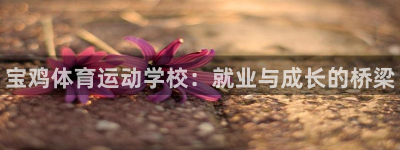 bbin视讯游戏官网
