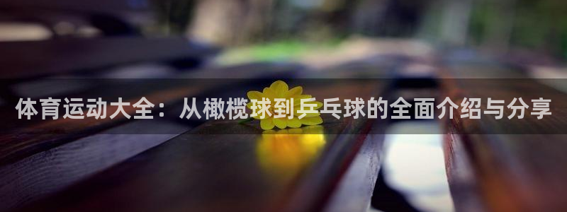 bbin视讯