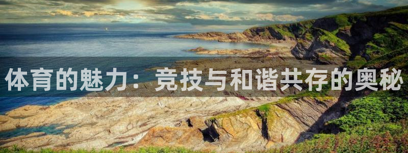 bbin视讯下