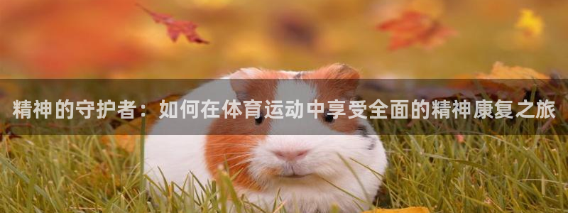 bbin视讯