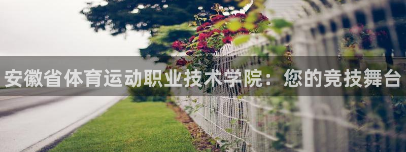 bbin视讯下