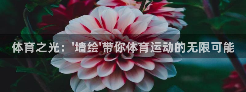 bbin视讯