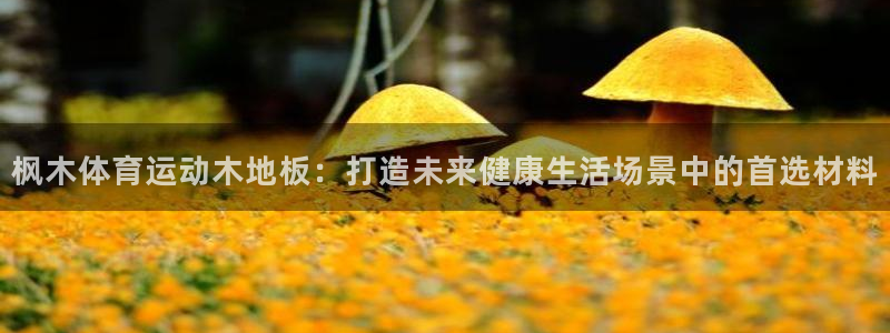 bbin视讯