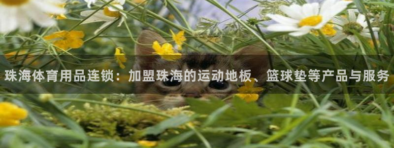 bbin视讯游戏官网