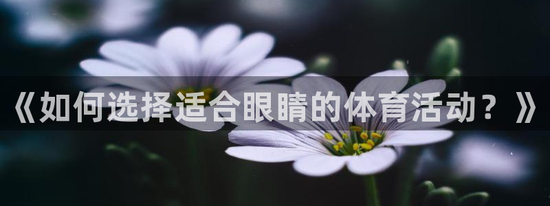 bbin视讯游戏平台