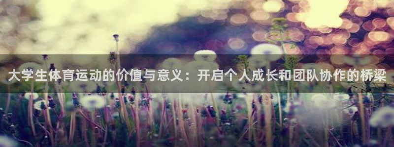 bbin视讯游戏平台