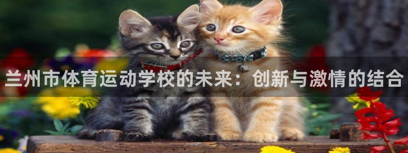 bbin视讯