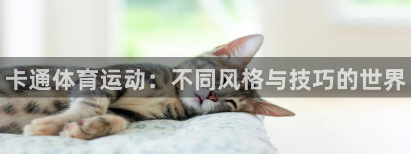 bbin视讯