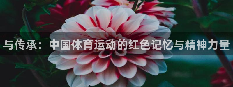 bbin视讯