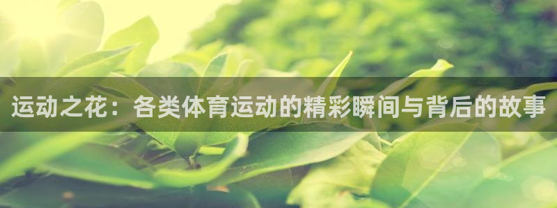 bbin视讯游戏平台